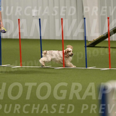 Jameson-David-Thorley-06972