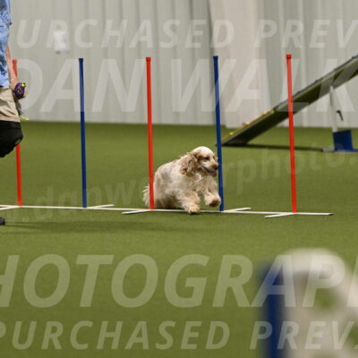 Jameson-David-Thorley-06973