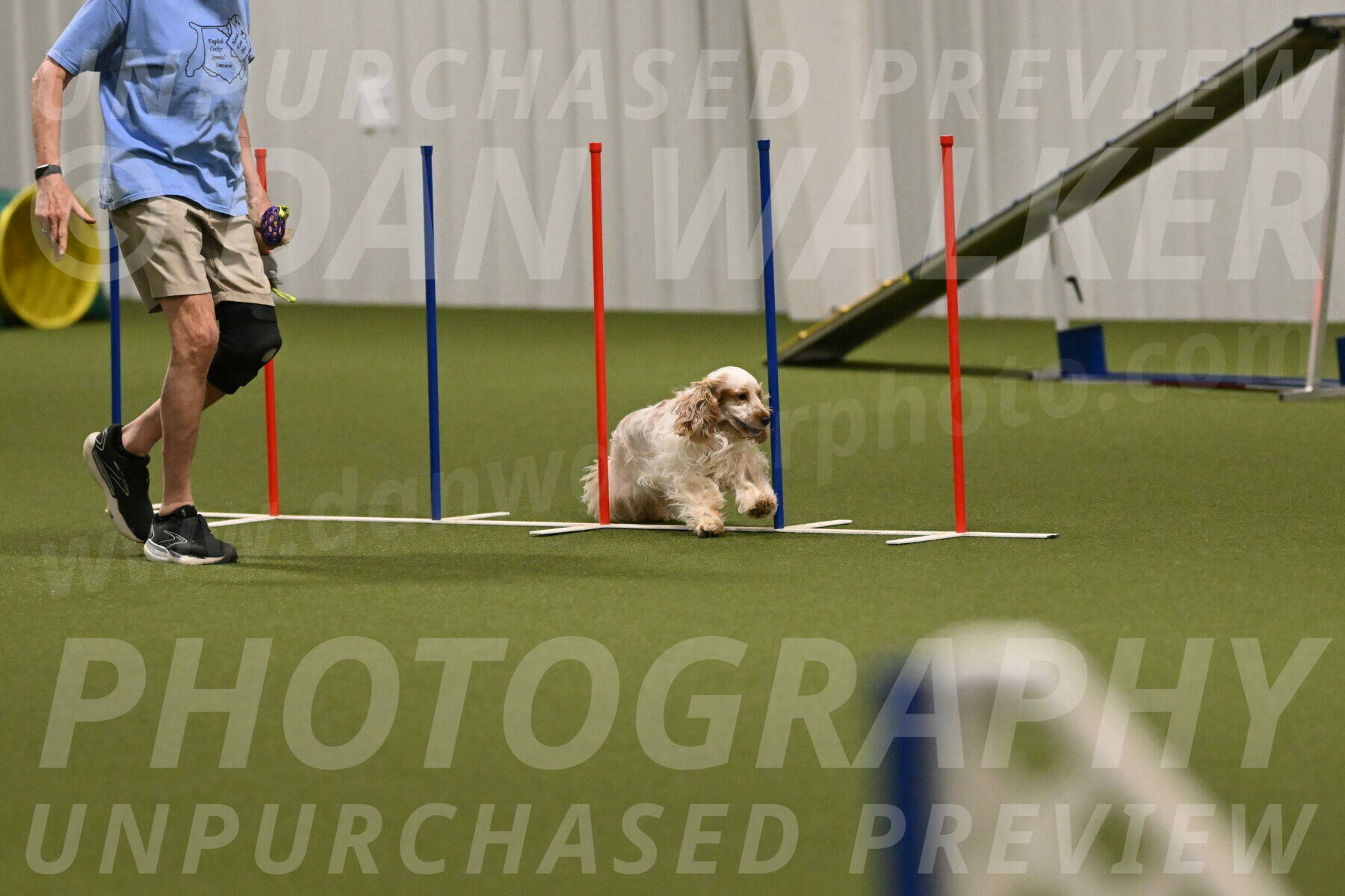 Jameson-David-Thorley-06973