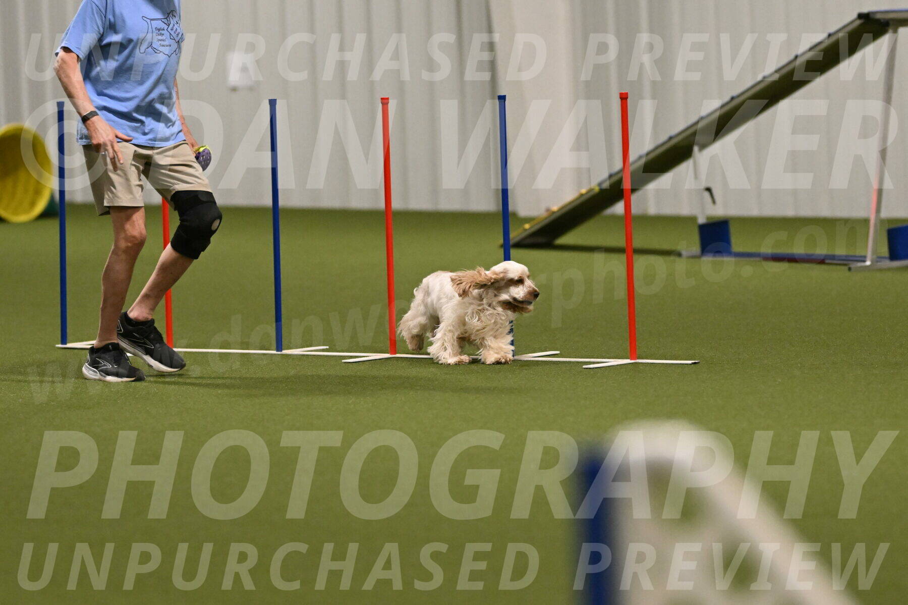 Jameson-David-Thorley-06974