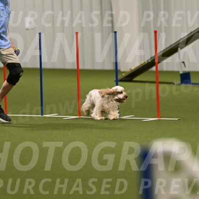 Jameson-David-Thorley-06974