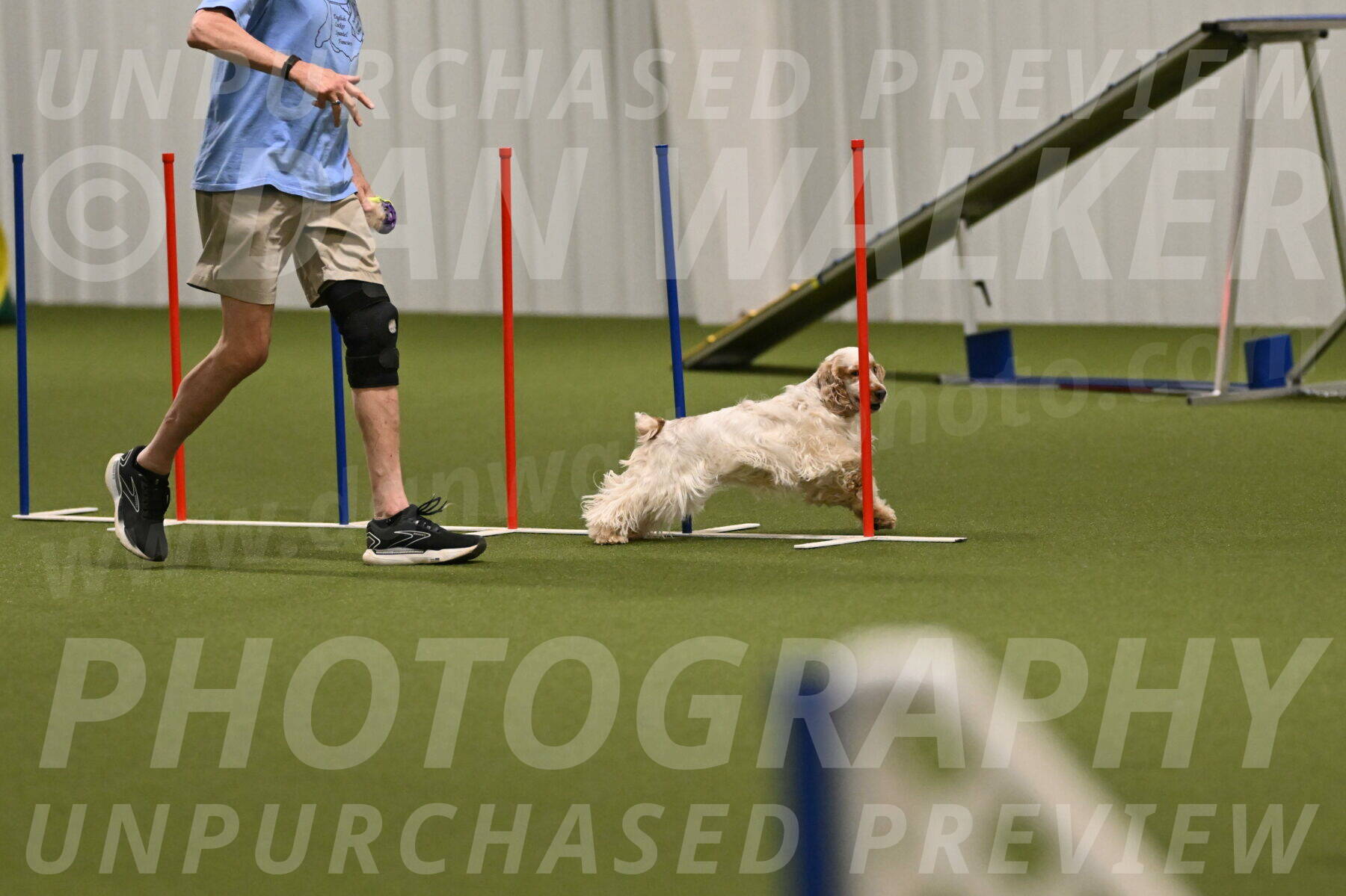 Jameson-David-Thorley-06975