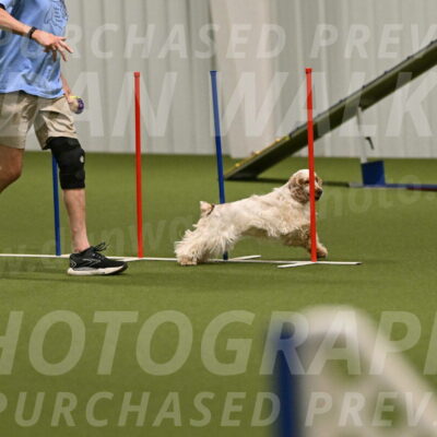 Jameson-David-Thorley-06975