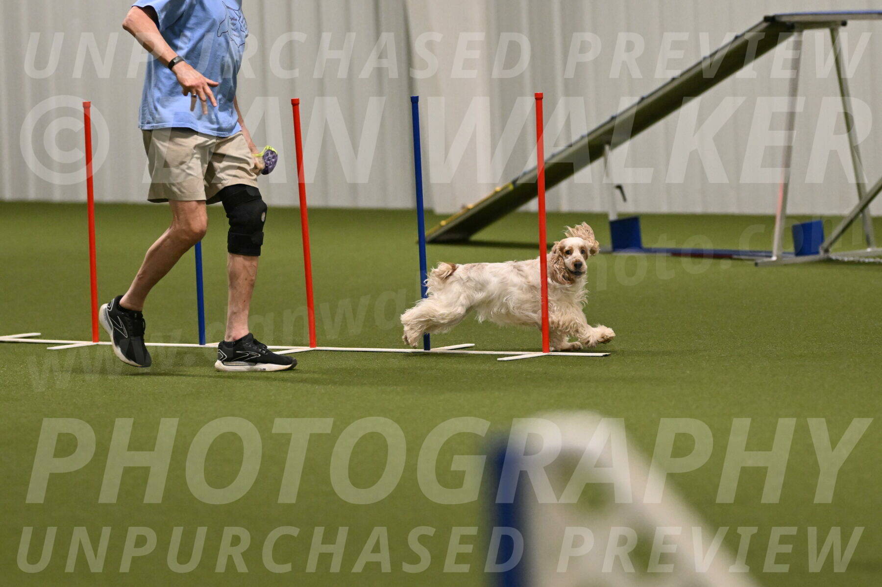 Jameson-David-Thorley-06976