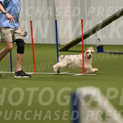 Jameson-David-Thorley-06976