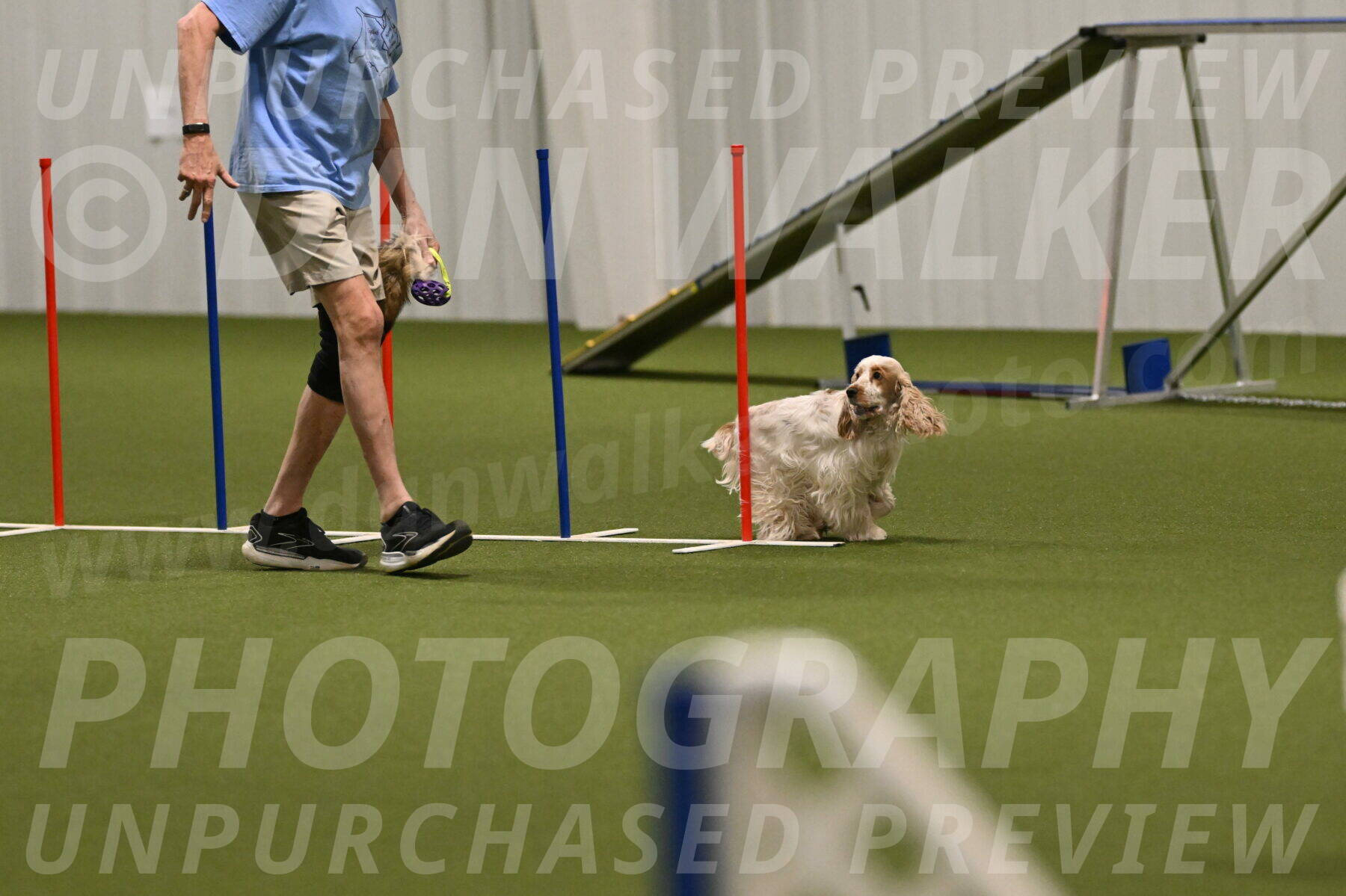 Jameson-David-Thorley-06977