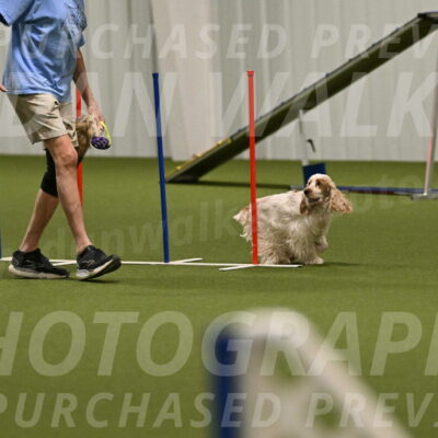 Jameson-David-Thorley-06977