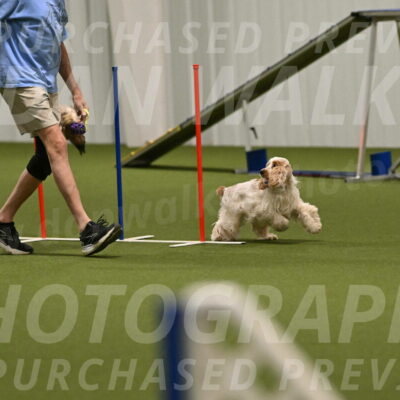 Jameson-David-Thorley-06978