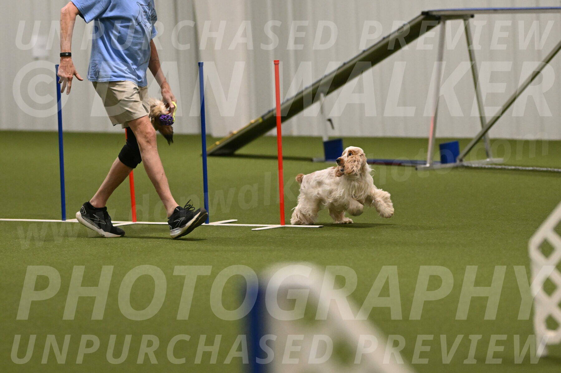 Jameson-David-Thorley-06978