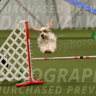 Jameson-David-Thorley-06980