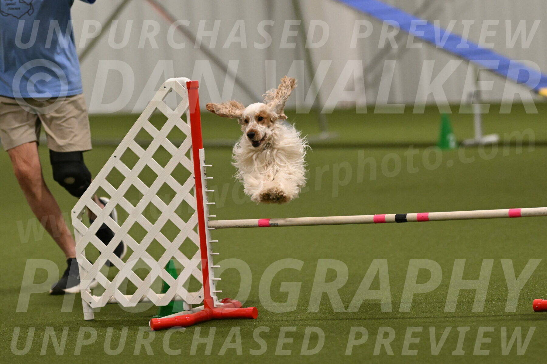 Jameson-David-Thorley-06980