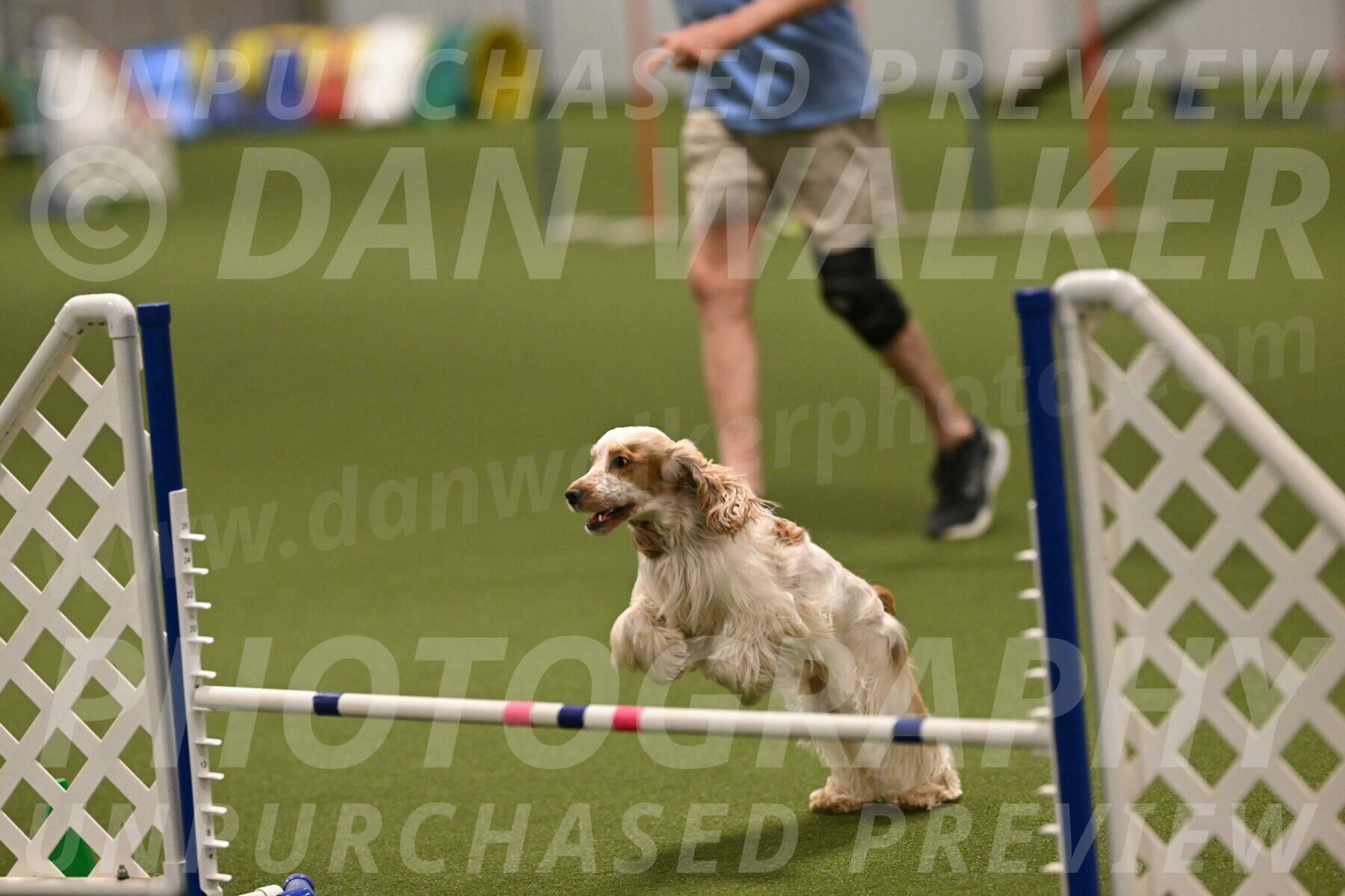 Jameson-David-Thorley-06981