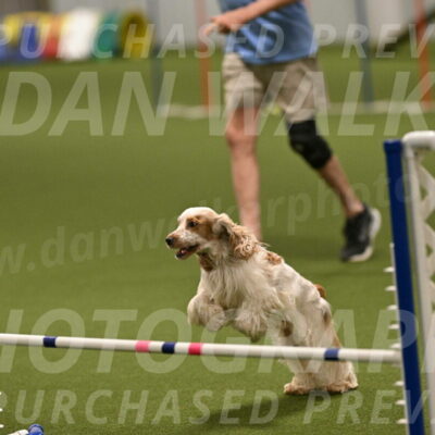 Jameson-David-Thorley-06981