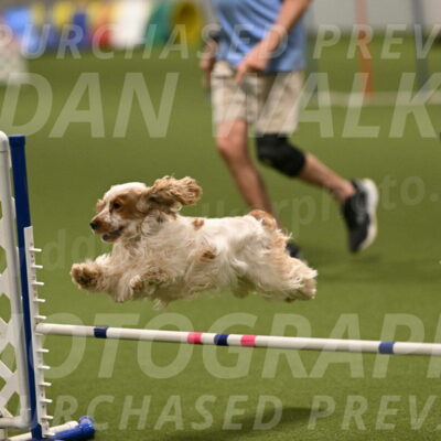 Jameson-David-Thorley-06982