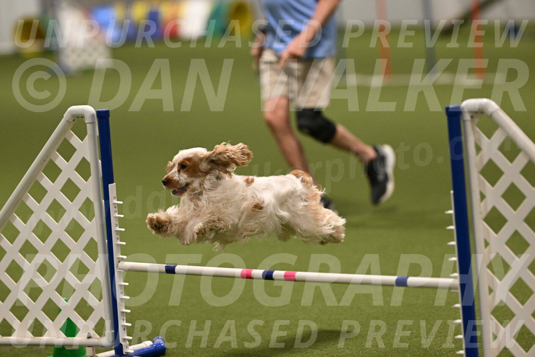 Jameson-David-Thorley-06982