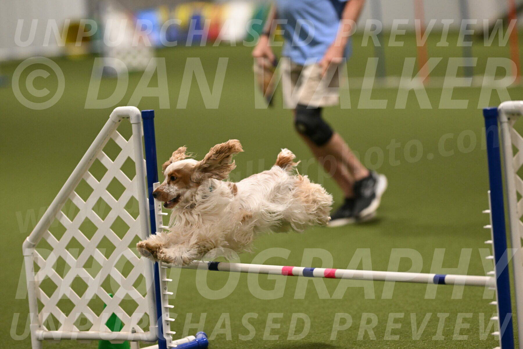 Jameson-David-Thorley-06983