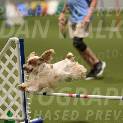 Jameson-David-Thorley-06983