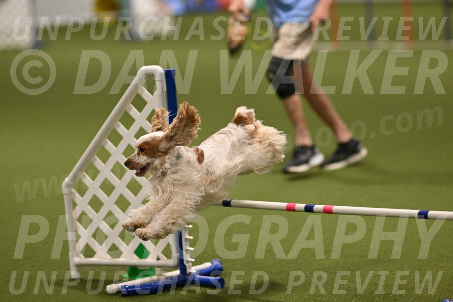 Jameson-David-Thorley-06984