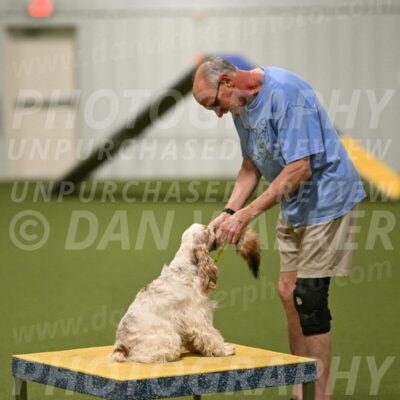 Jameson-David-Thorley-06985