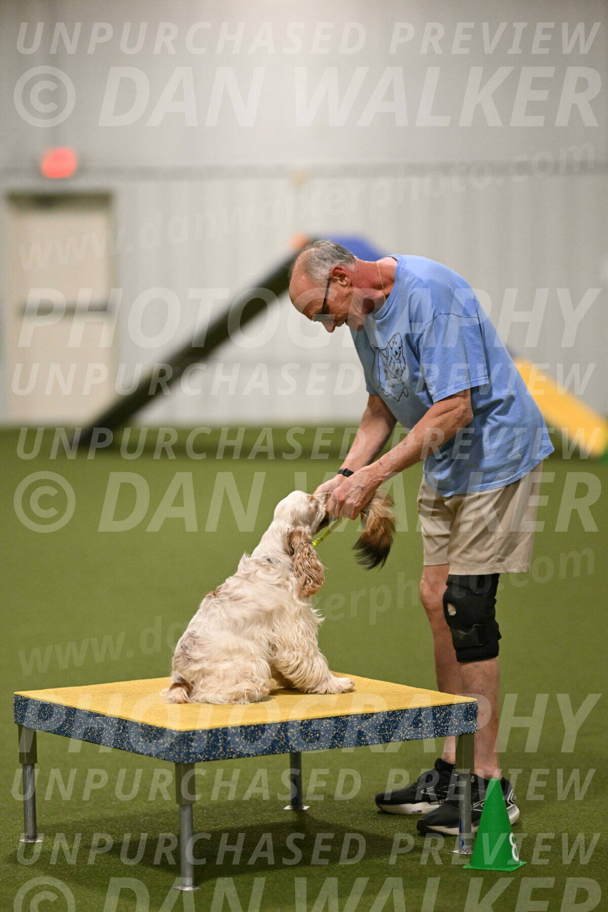 Jameson-David-Thorley-06986