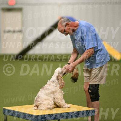 Jameson-David-Thorley-06986