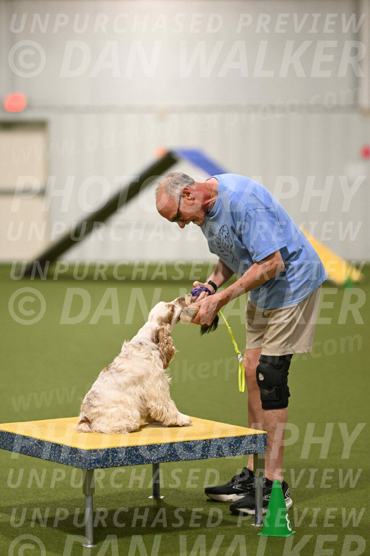 Jameson-David-Thorley-06987