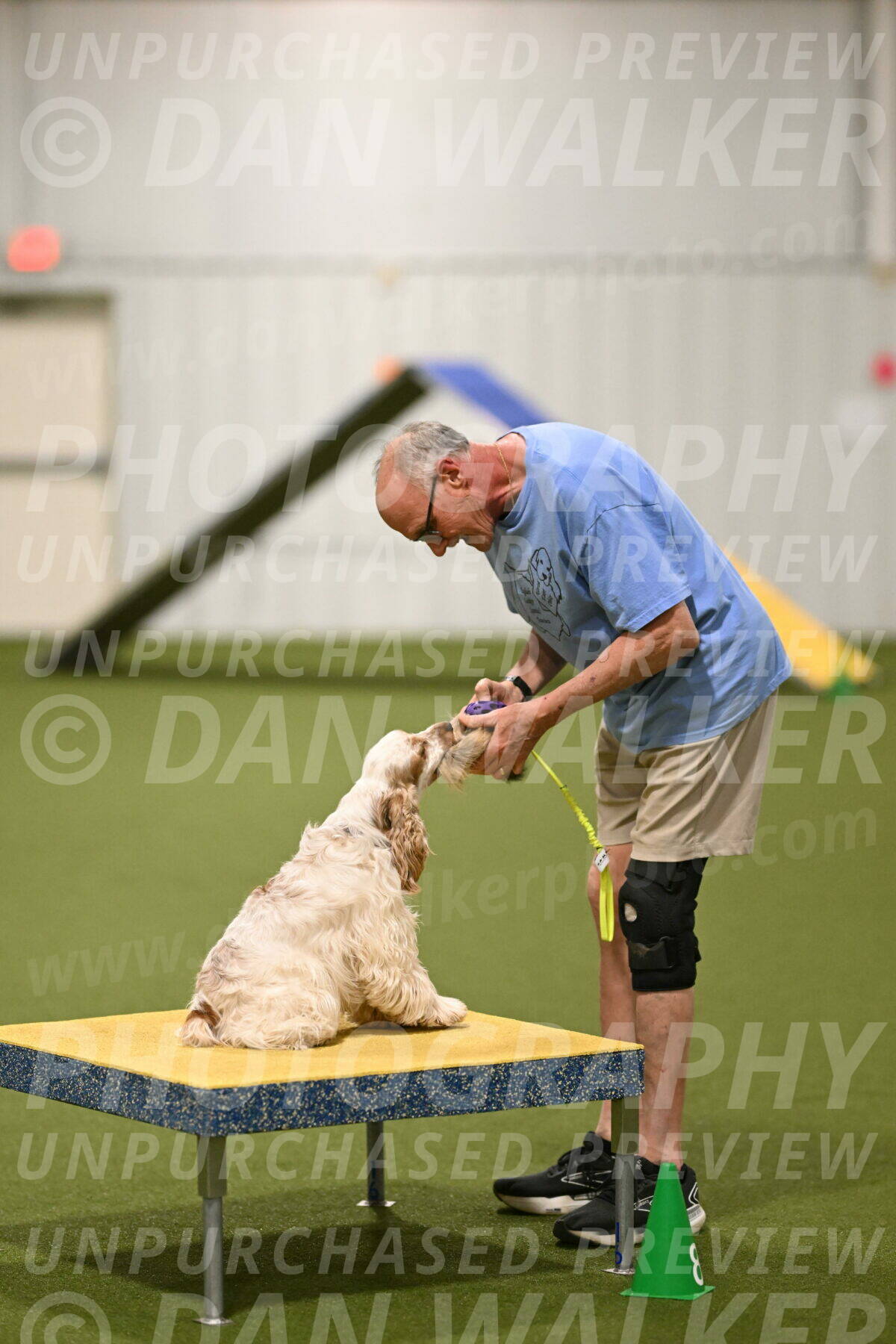 Jameson-David-Thorley-06988