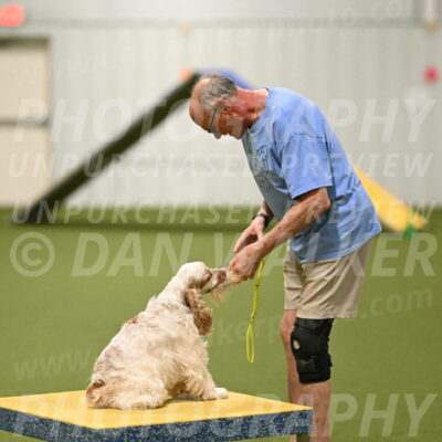 Jameson-David-Thorley-06989