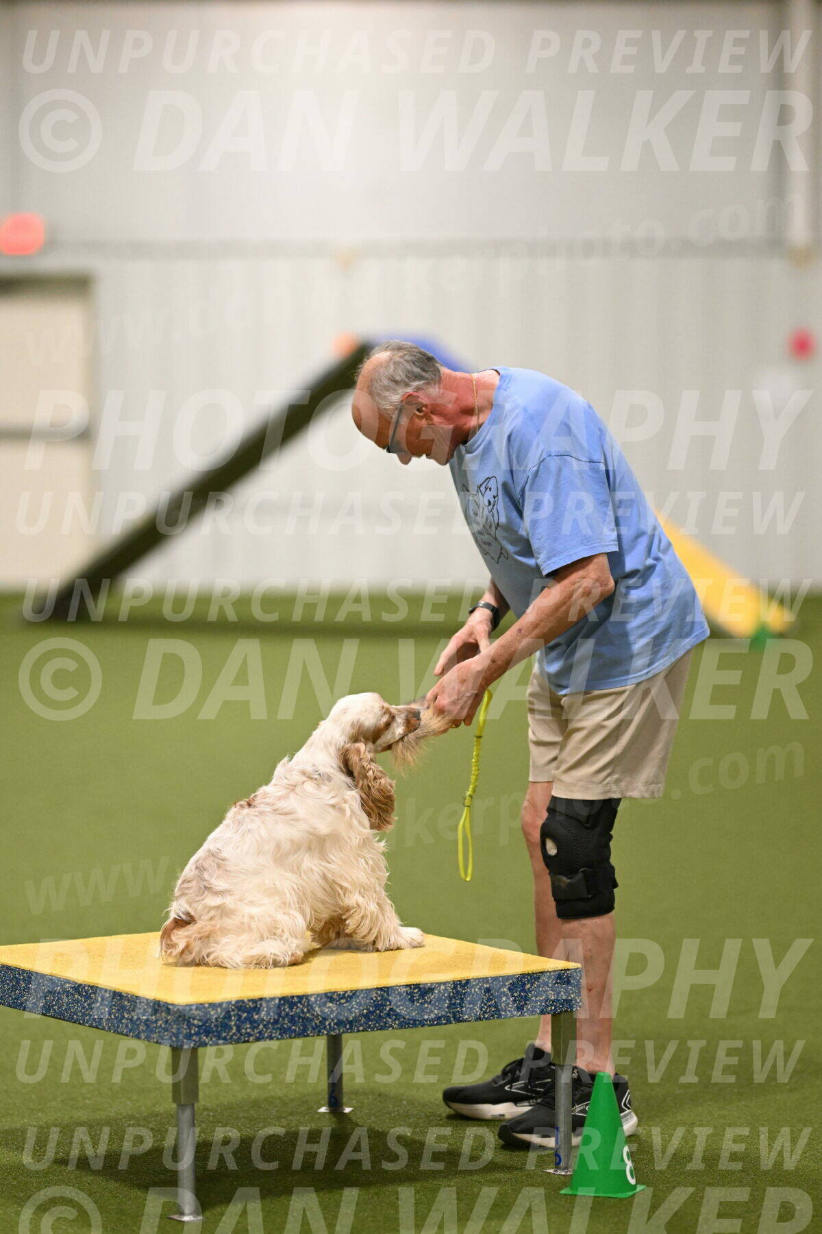 Jameson-David-Thorley-06989