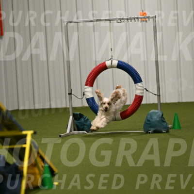 Jameson-David-Thorley-06990