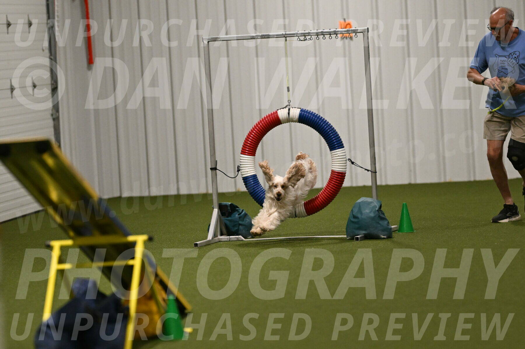 Jameson-David-Thorley-06990