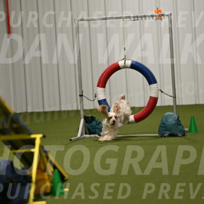 Jameson-David-Thorley-06991