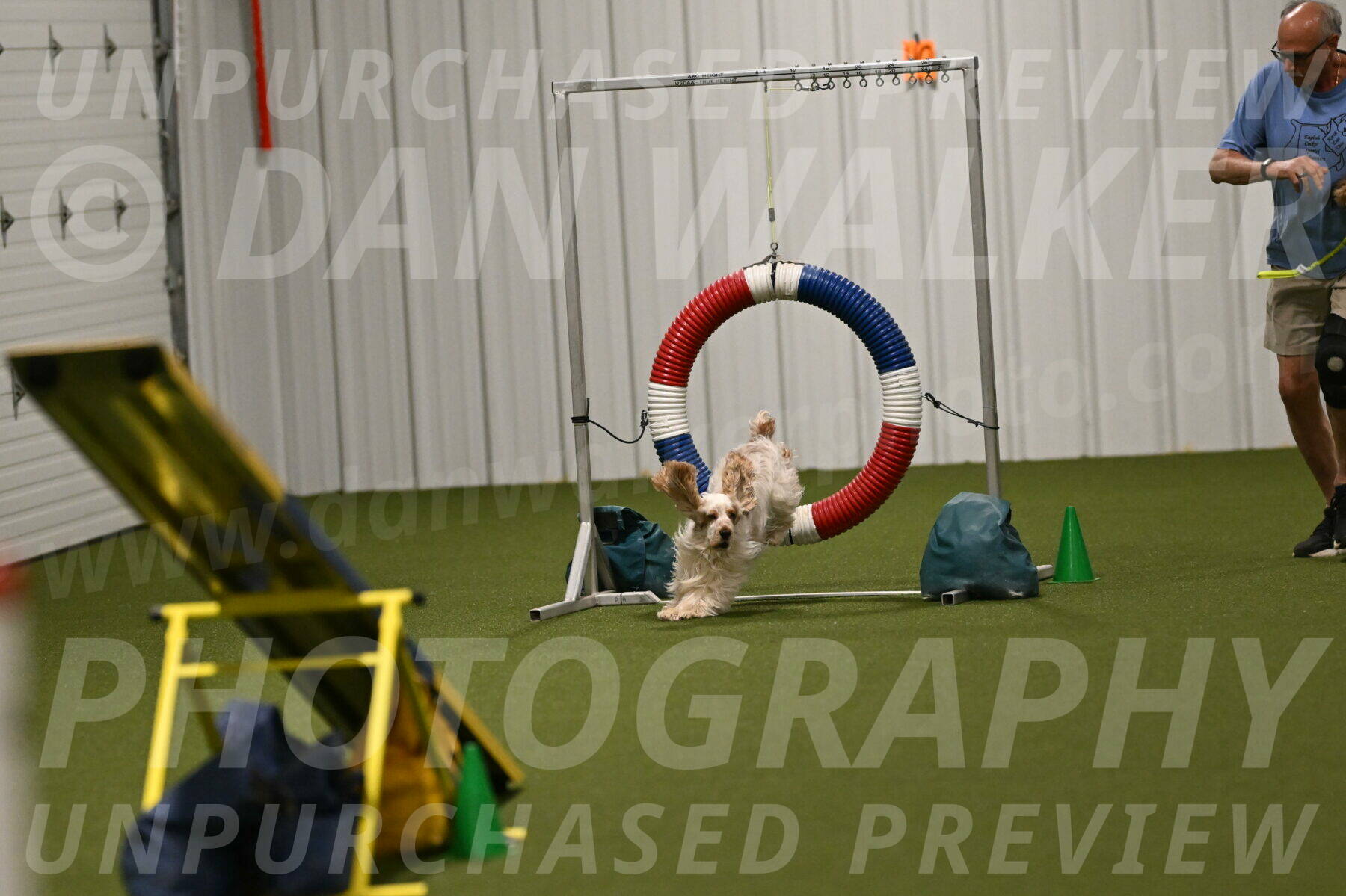 Jameson-David-Thorley-06991