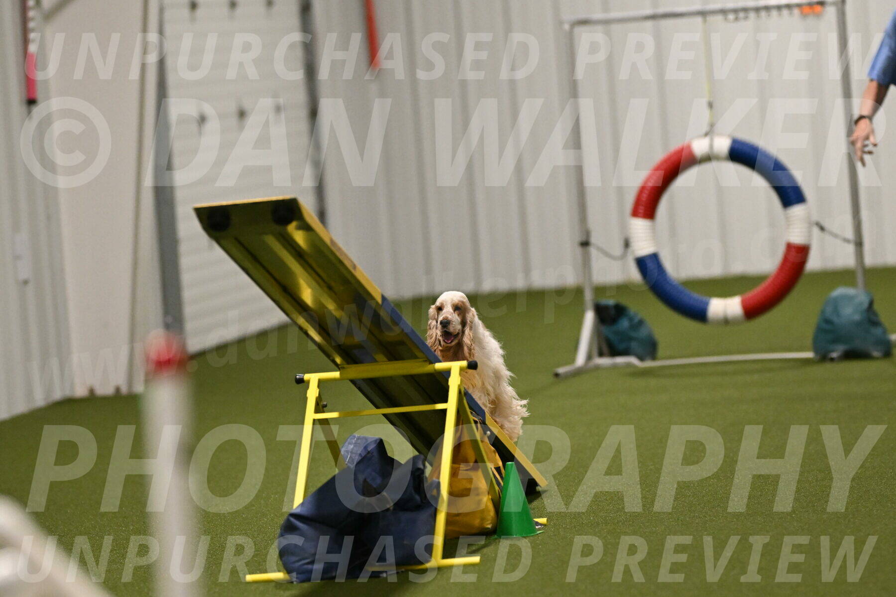 Jameson-David-Thorley-06992