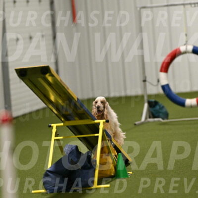 Jameson-David-Thorley-06992