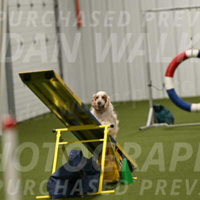 Jameson-David-Thorley-06993