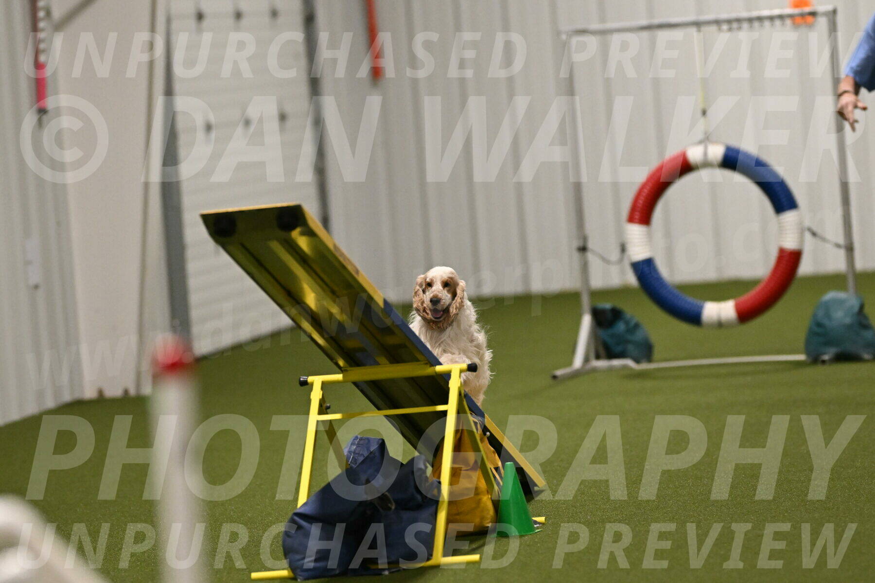 Jameson-David-Thorley-06993