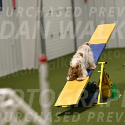 Jameson-David-Thorley-06994