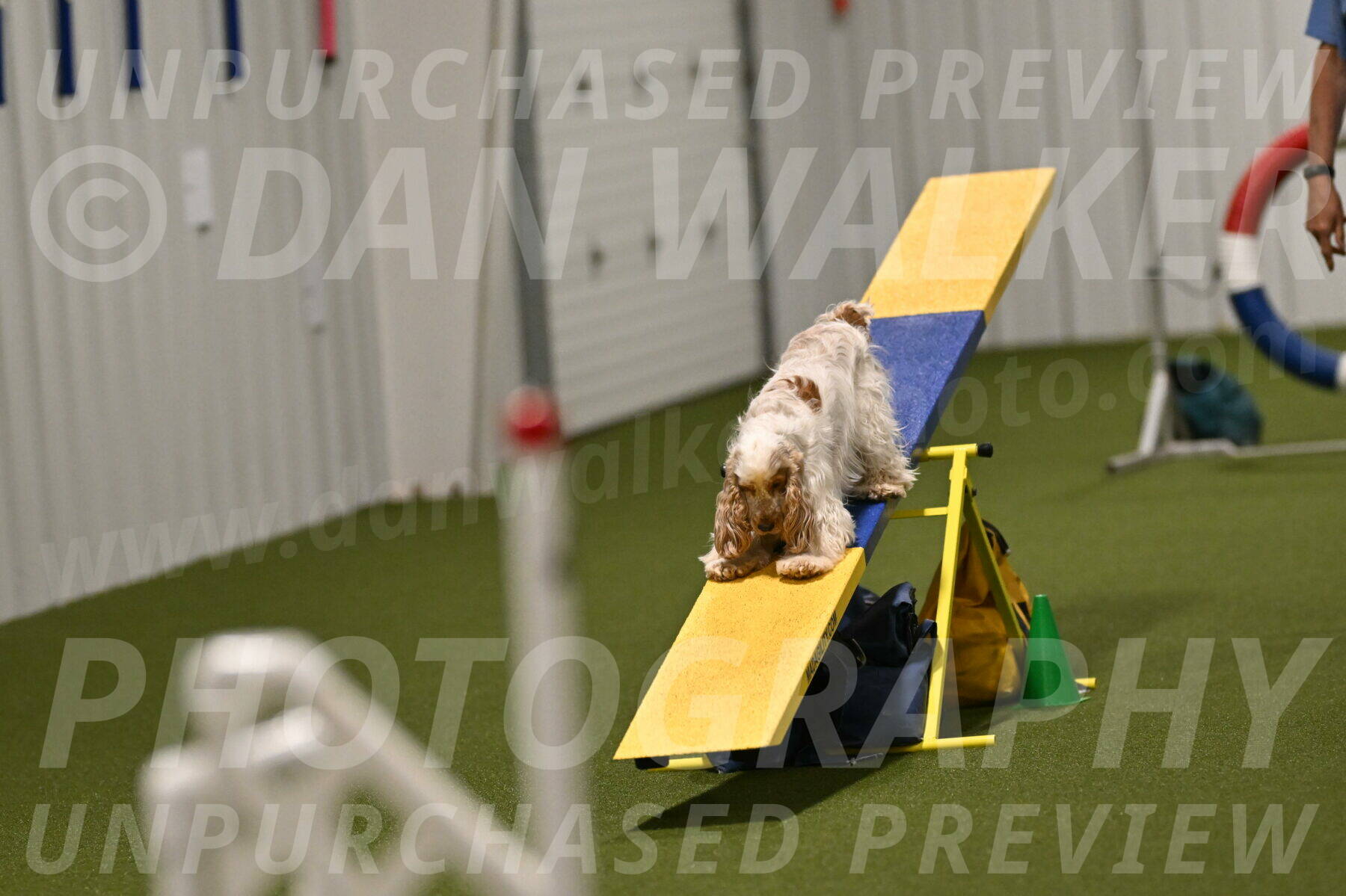 Jameson-David-Thorley-06994