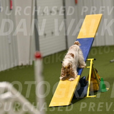 Jameson-David-Thorley-06995