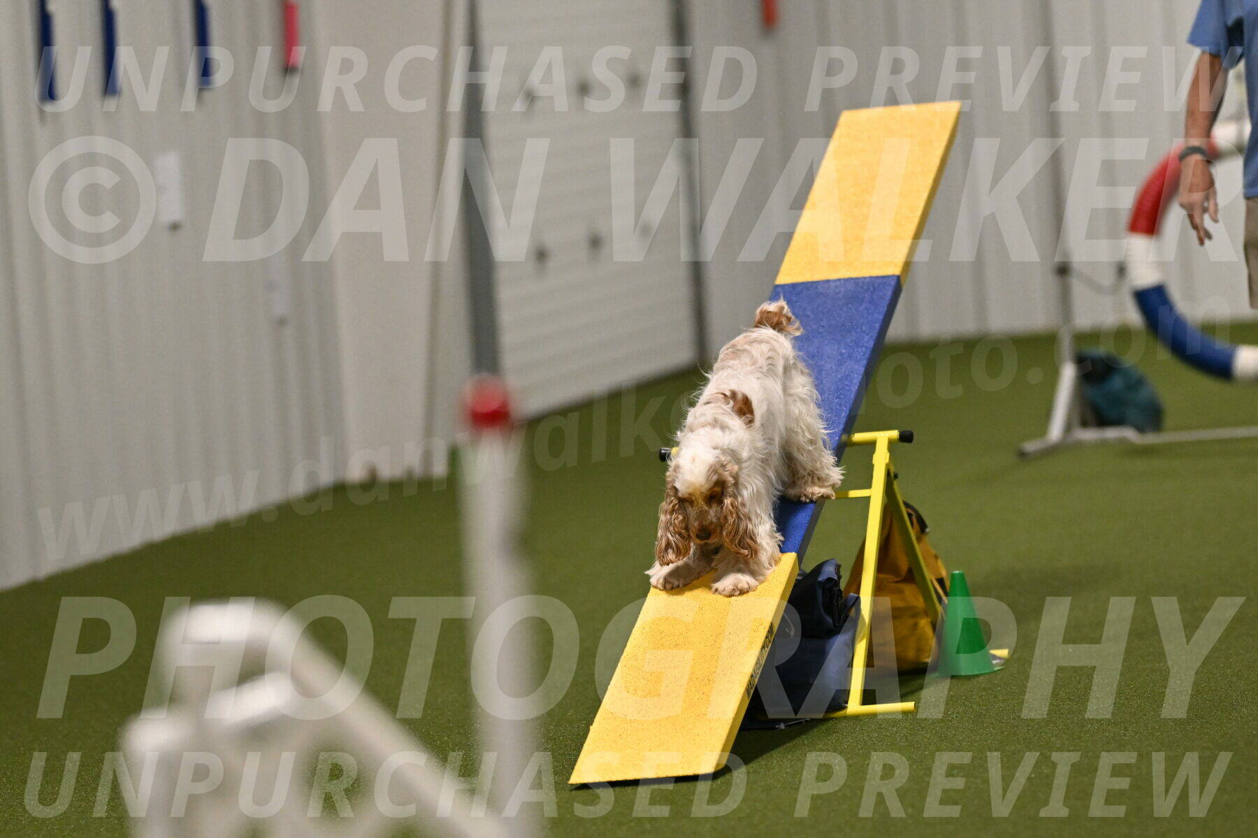 Jameson-David-Thorley-06995