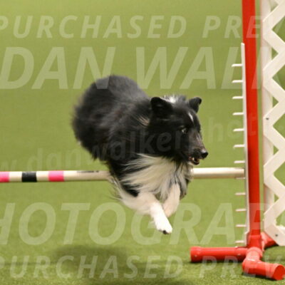 Jaxann-Anne-Ujczo-00018
