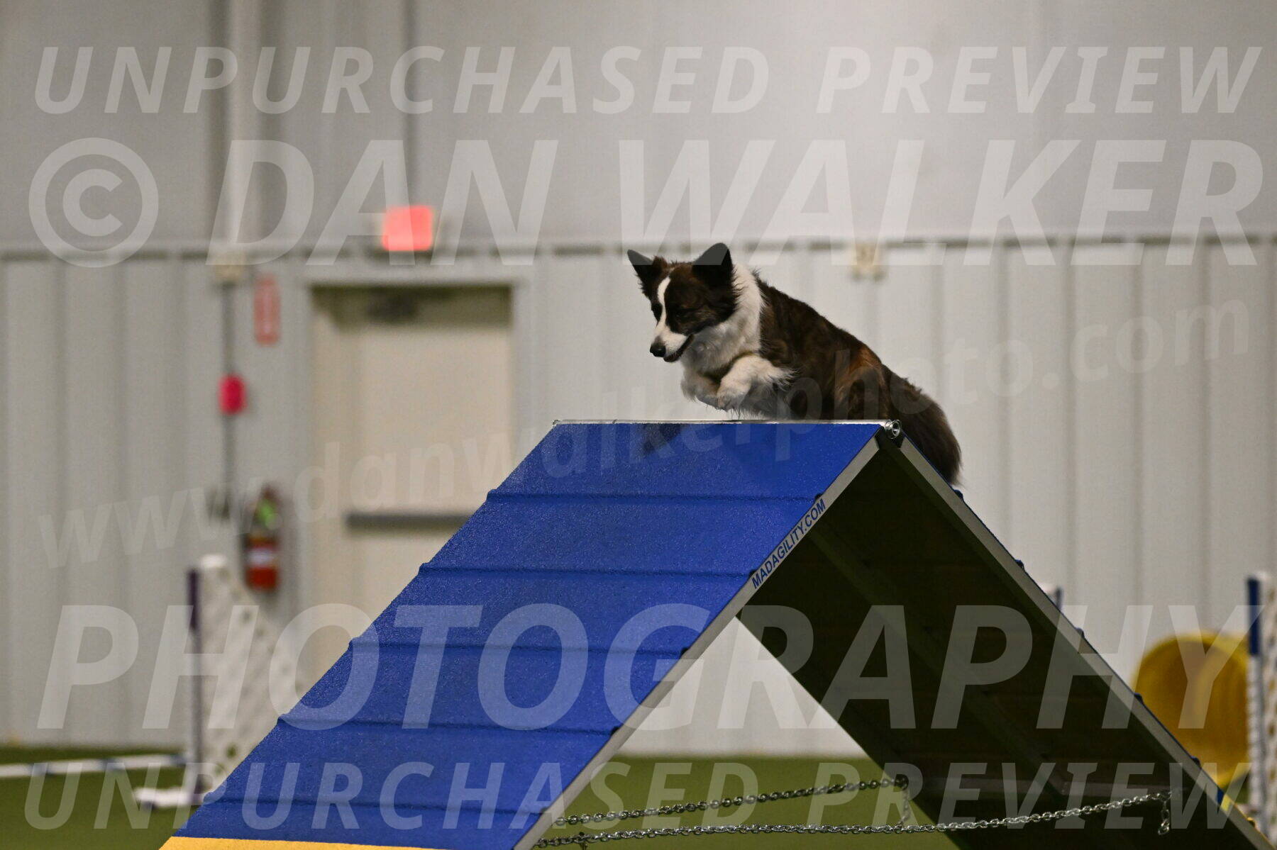 Jonny-Quest-Leslie-Masterson-10964