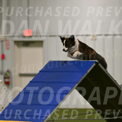 Jonny-Quest-Leslie-Masterson-10964