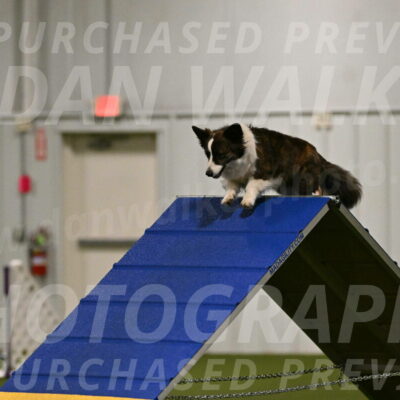 Jonny-Quest-Leslie-Masterson-10965