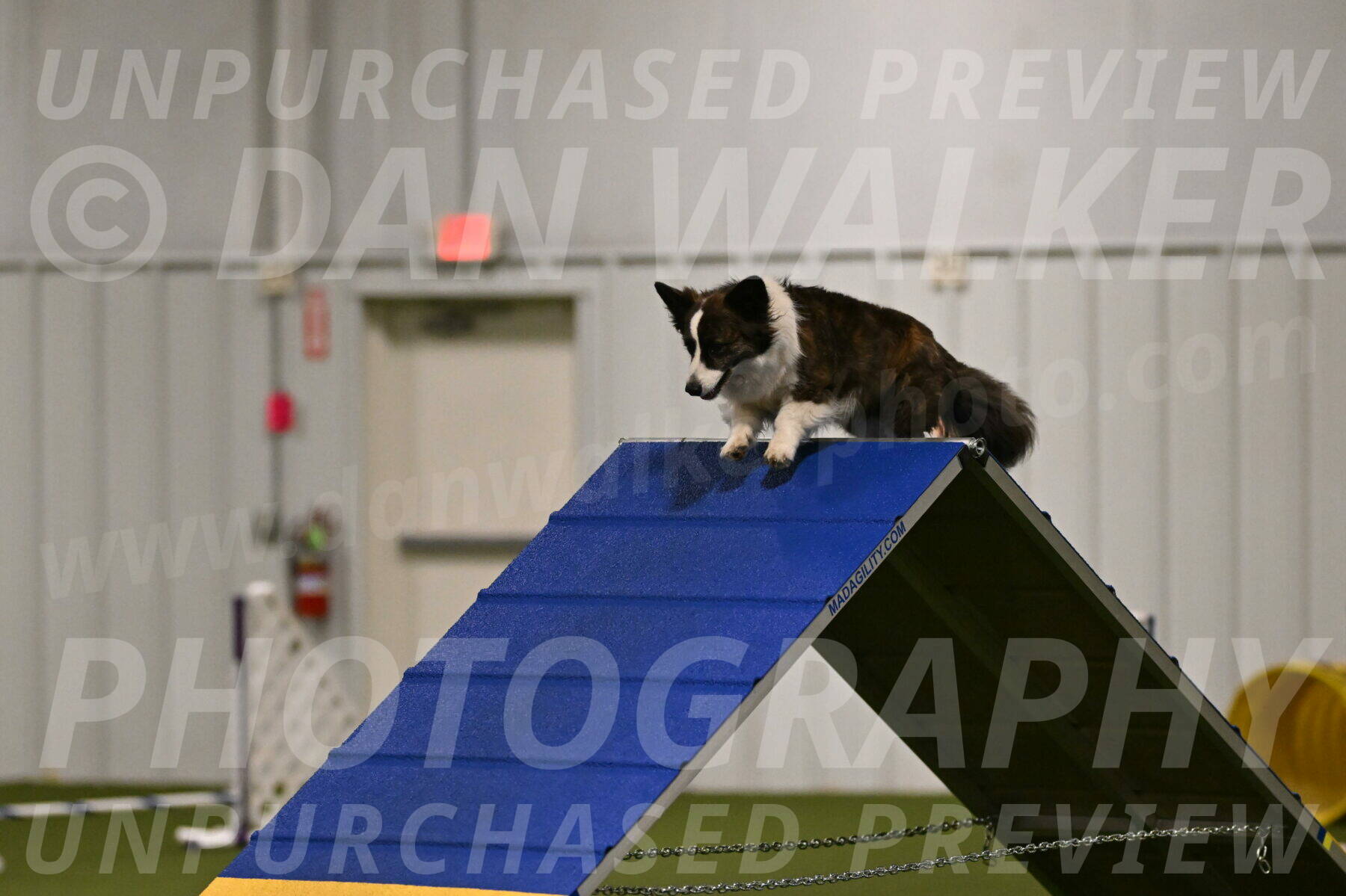 Jonny-Quest-Leslie-Masterson-10965