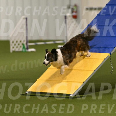 Jonny-Quest-Leslie-Masterson-10966