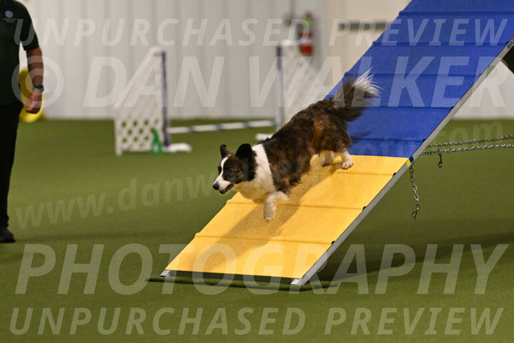 Jonny-Quest-Leslie-Masterson-10966