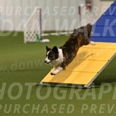 Jonny-Quest-Leslie-Masterson-10967