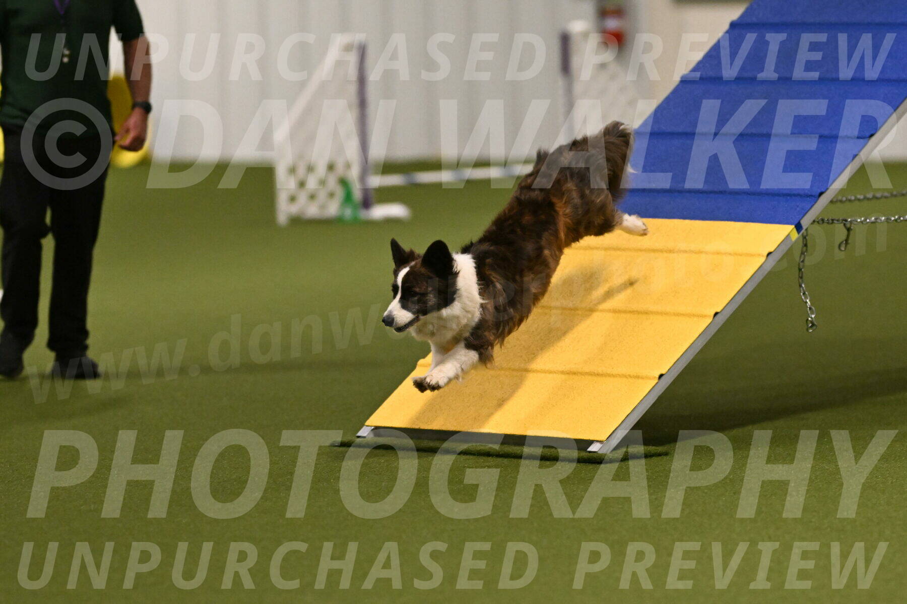 Jonny-Quest-Leslie-Masterson-10967